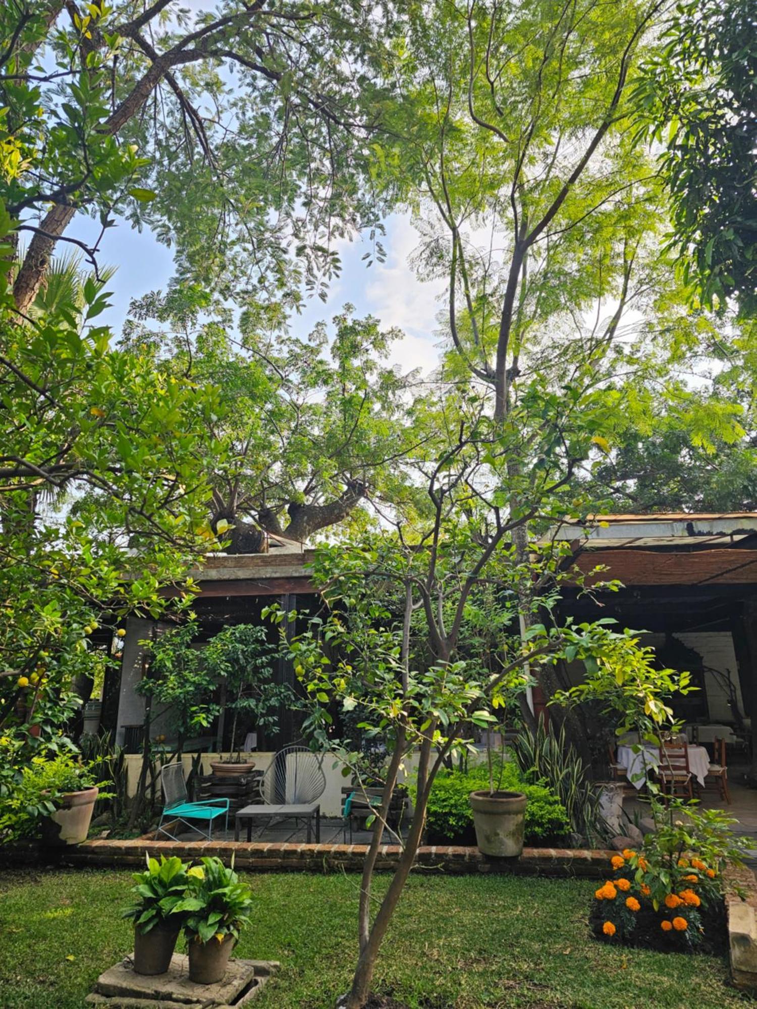 Hotel Casa Limon Malinalco Exteriér fotografie