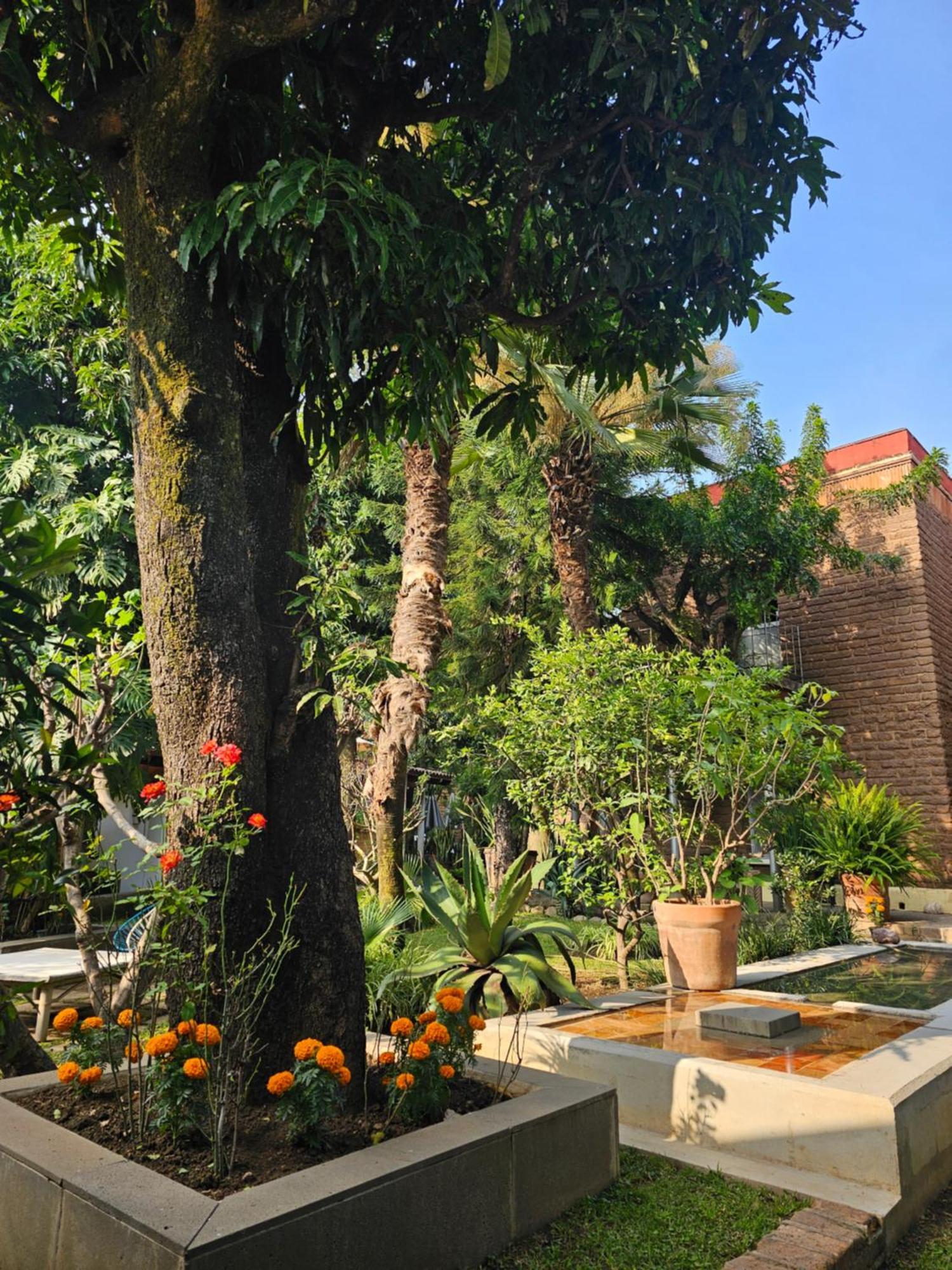Hotel Casa Limon Malinalco Exteriér fotografie